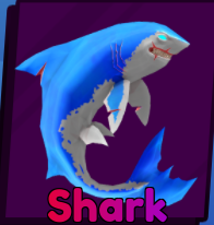 Shark